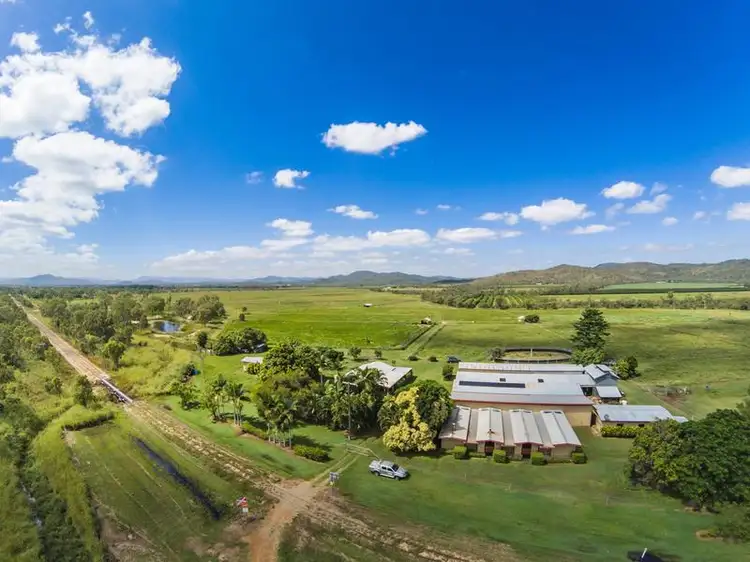 Fifth view of Homely rural property listing, 4173 Mareeba-Dimbulah Road, Mutchilba QLD 4872
