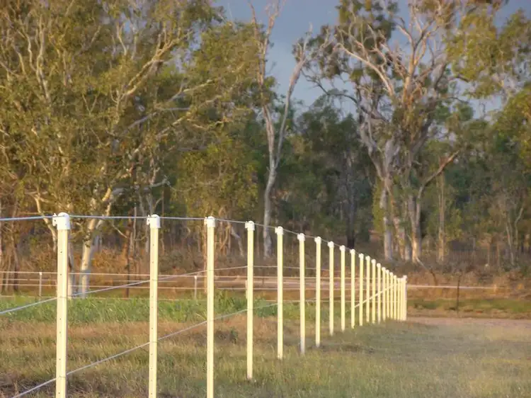 Sixth view of Homely rural property listing, 4173 Mareeba-Dimbulah Road, Mutchilba QLD 4872