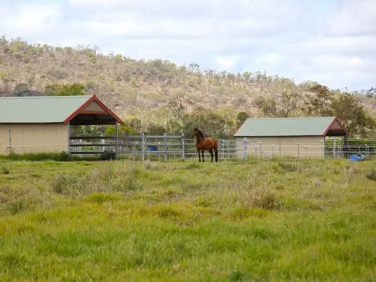 Seventh view of Homely rural property listing, 4173 Mareeba-Dimbulah Road, Mutchilba QLD 4872