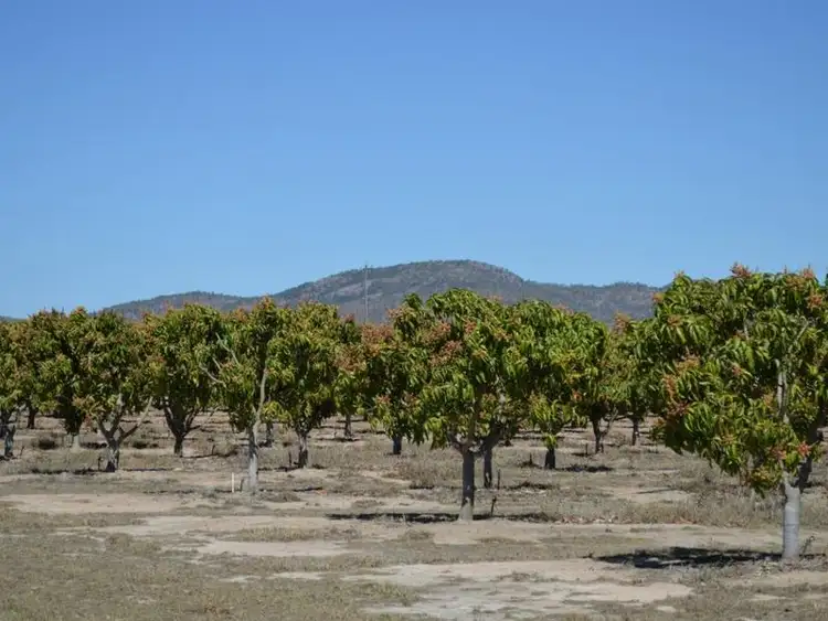 Sixth view of Homely rural property listing, 3727 Mareeba-Dimbulah Road, Mutchilba QLD 4872