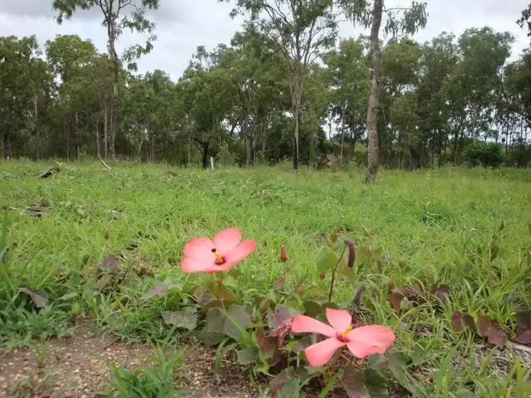 30 Godwin Close, Mareeba QLD 4880