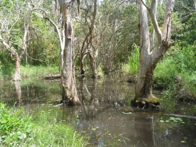 Third view of Homely land listing, Lot 3 Bakers Road, Mount Molloy QLD 4871