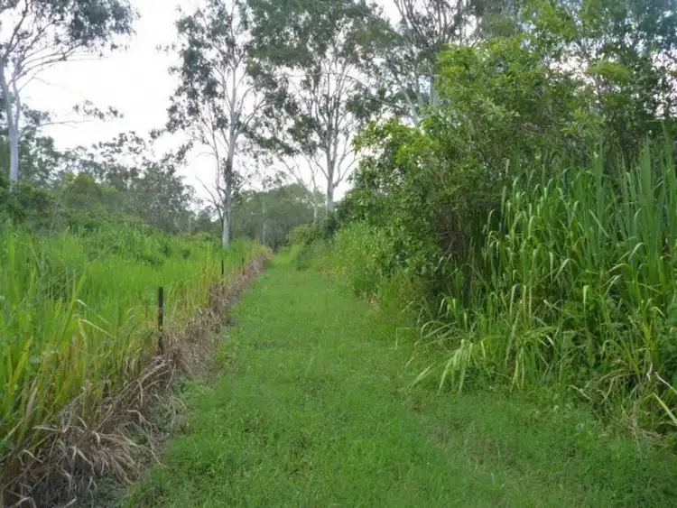 Fifth view of Homely land listing, Lot 3 Bakers Road, Mount Molloy QLD 4871