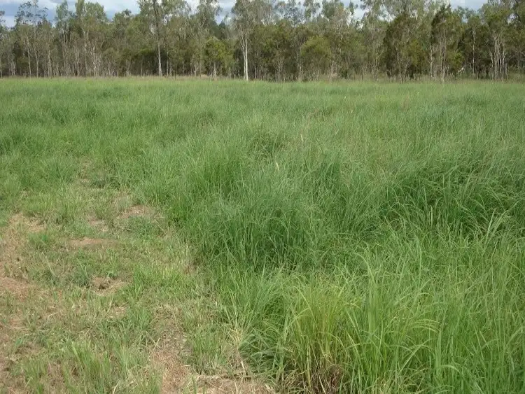 Third view of Homely land listing, Lot 234 Bilwon Road, Mareeba QLD 4880