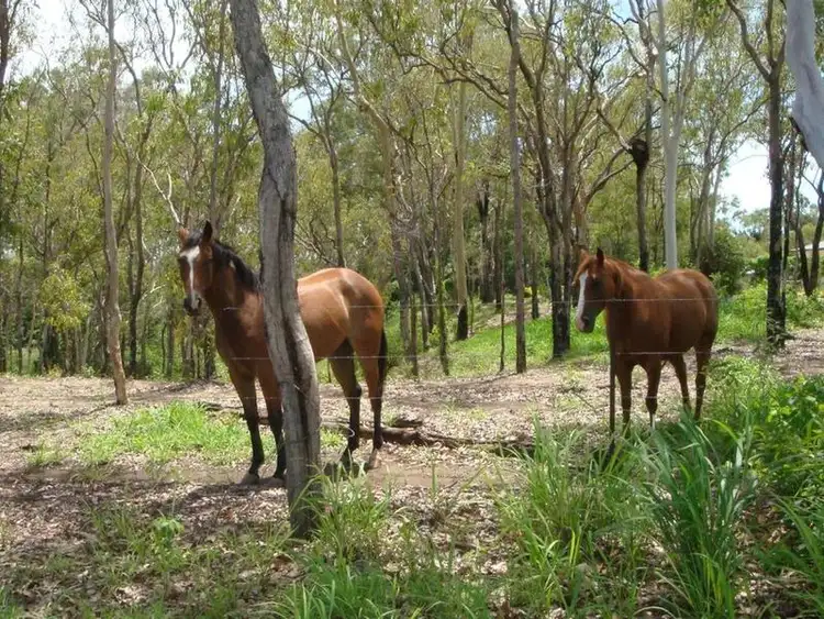 Seventh view of Homely land listing, Proposed Lot 5 Blacks Road, Mareeba QLD 4880