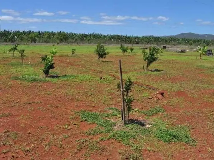 Main view of Homely land listing, 31 Dean Circuit, Mareeba QLD 4880