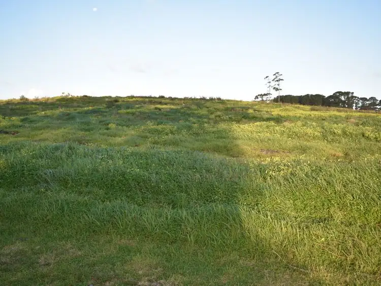 Fifth view of Homely land listing, LOT 5-8, 64 Mount Gambier Road, Millicent SA 5280