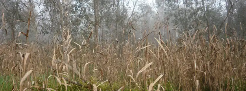 Main view of Homely land listing, Lot 27 Barker Court, Yea VIC 3717