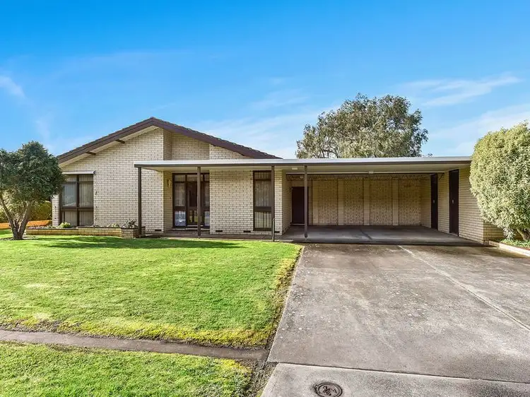 16 Belt Road, Millicent SA 5280
