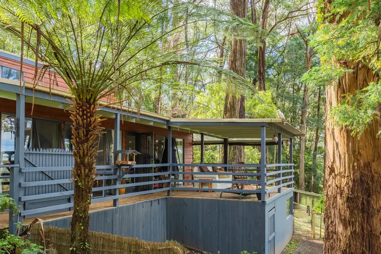 22 Maurice Street, Cockatoo VIC 3781
