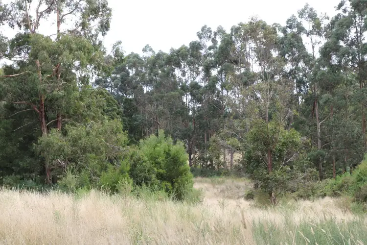 Fourth view of Homely land listing, Bush Block 90 Beaches Lane, Newbury VIC 3458