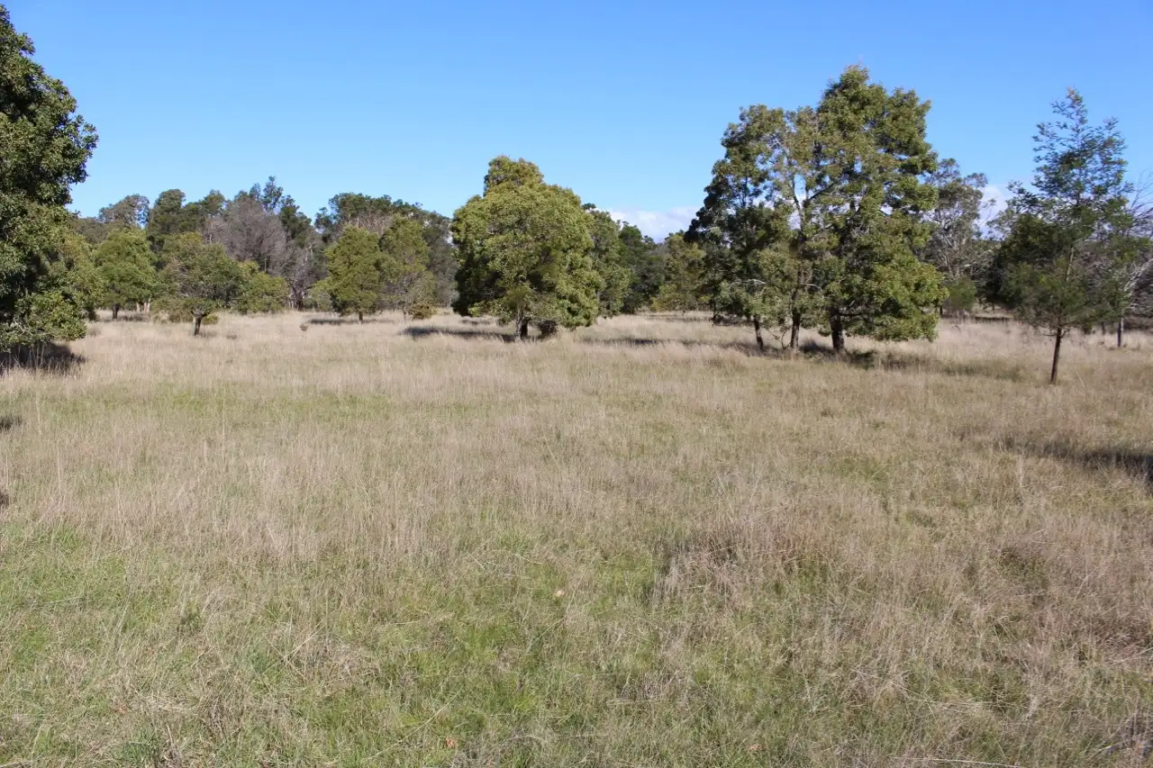 Main view of Homely rural property listing, LOT A22C Dereel-Rokewood Junction Road, Dereel VIC 3352