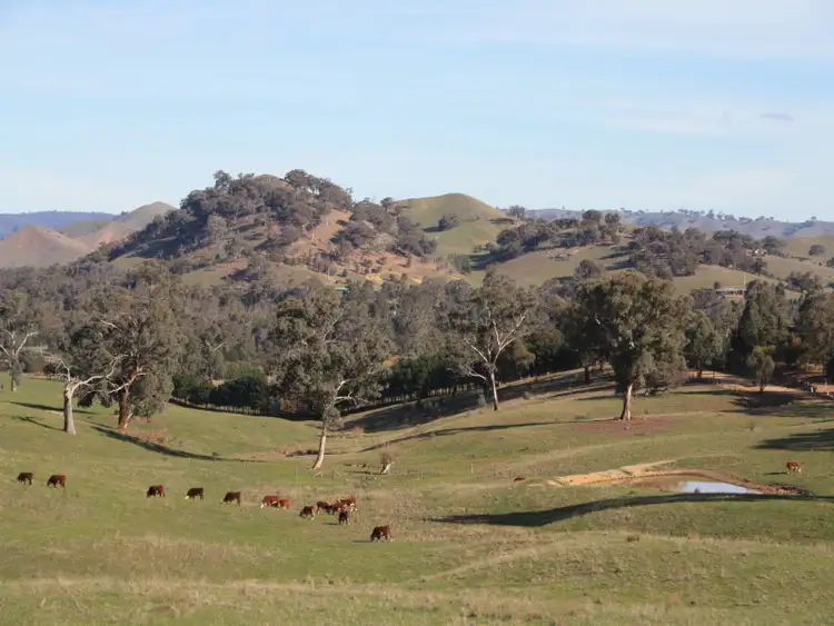 Third view of Homely rural property listing, 160 Kiernans Road, Bonnie Doon VIC 3720