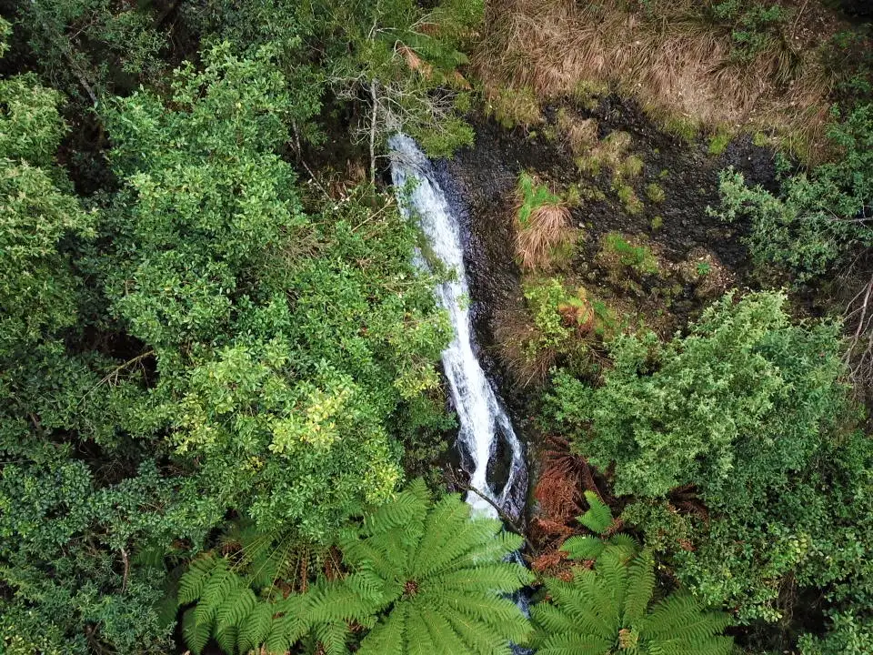 Main view of Homely house listing, 107 Bassetts Road, Calder TAS 7325