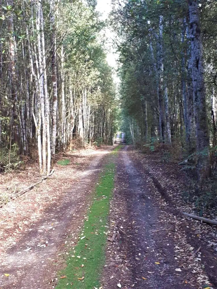 Second view of Homely house listing, 107 Bassetts Road, Calder TAS 7325