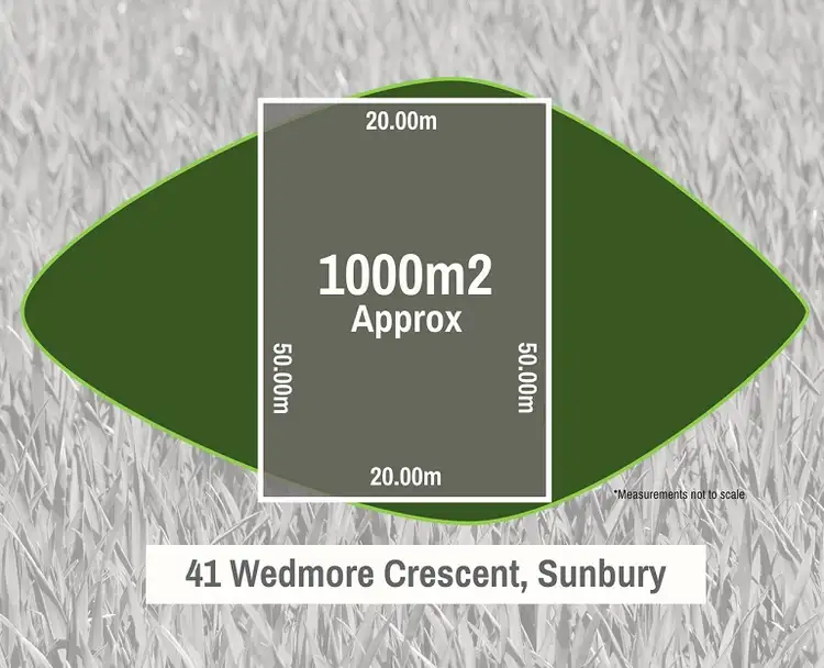 41 Wedmore Crescent