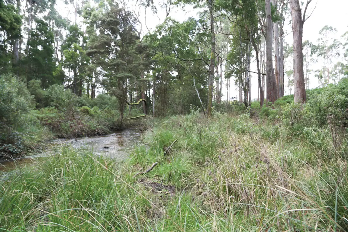 Main view of Homely land listing, LOT 5/32 Twin Creeks Road, Mengha TAS 7330