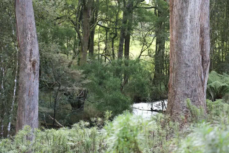 Main view of Homely land listing, LOT 4/32 Twin Creeks Road, Mengha TAS 7330