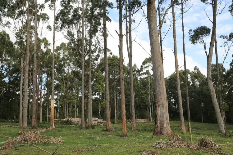 Second view of Homely land listing, LOT 4/32 Twin Creeks Road, Mengha TAS 7330