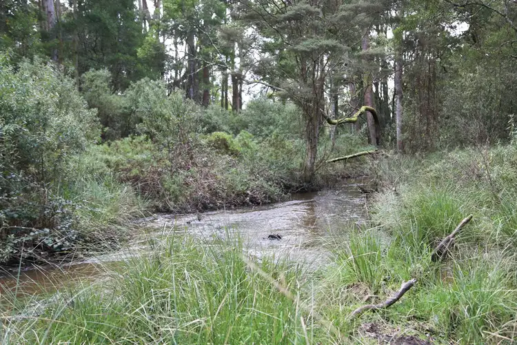Third view of Homely land listing, LOT 4/32 Twin Creeks Road, Mengha TAS 7330