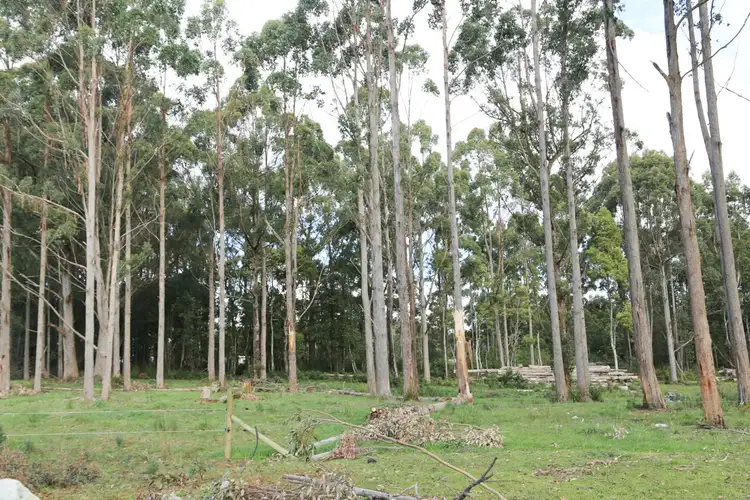 Fourth view of Homely land listing, LOT 4/32 Twin Creeks Road, Mengha TAS 7330