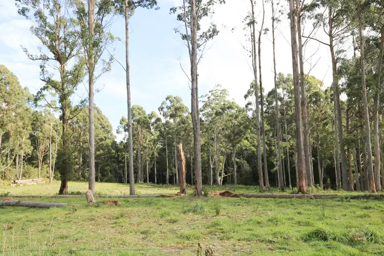 Fifth view of Homely land listing, LOT 4/32 Twin Creeks Road, Mengha TAS 7330