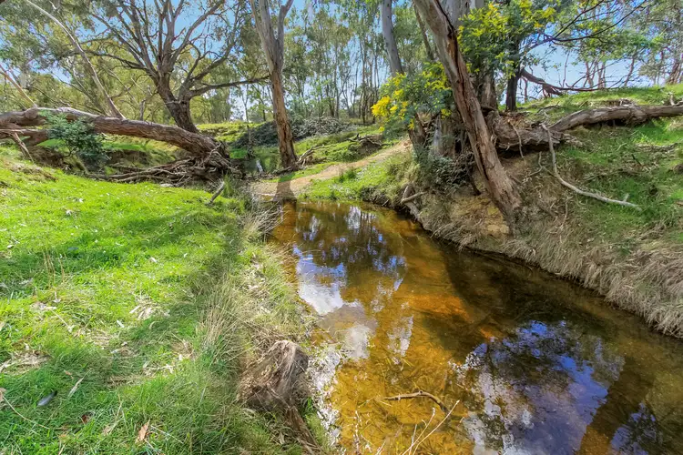 795 Dairy Flat Road, Tooborac VIC 3522