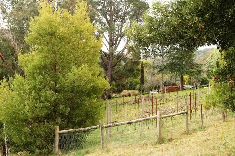 Fifth view of Homely land listing, 9 Martin Street, Blackwood VIC 3458