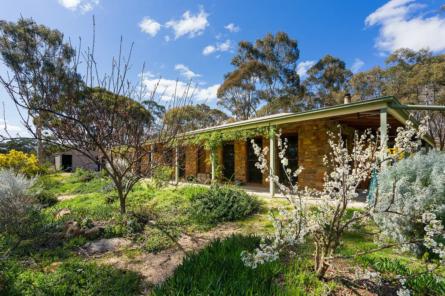 Main view of Homely house listing, 181 Willy Milly Road, Muckleford VIC 3451
