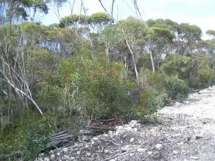 Second view of Homely land listing, 3 Hog Bay Road, Pelican Lagoon SA 5222