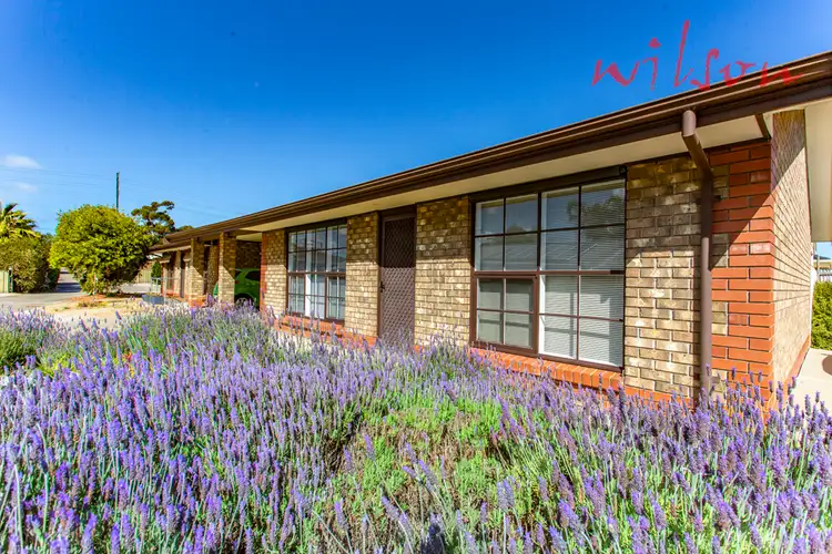Main view of Homely unit listing, 4/453 Grange Road, Seaton SA 5023