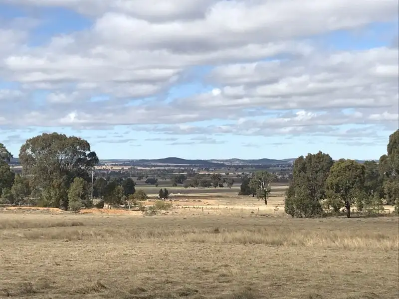Main view of Homely rural property listing, 502 Patrick Road, Dunedoo NSW 2844