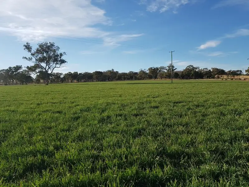 Main view of Homely rural property listing, 458 Sir Ivan Dougherty Drive, Dunedoo NSW 2844
