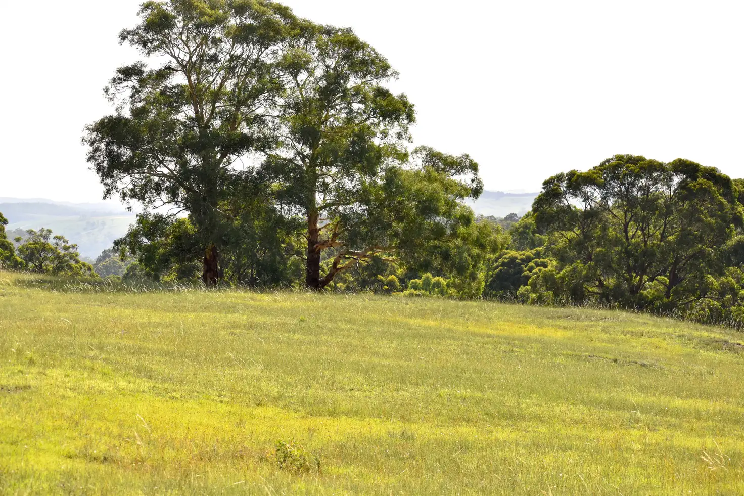 Main view of Homely land listing, LOT 109/5 Leathem Place, Little Hartley NSW 2790