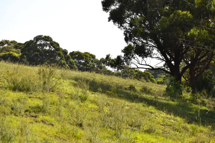 Fifth view of Homely land listing, LOT 102-112 112 Coxs River Road, Little Hartley NSW 2790