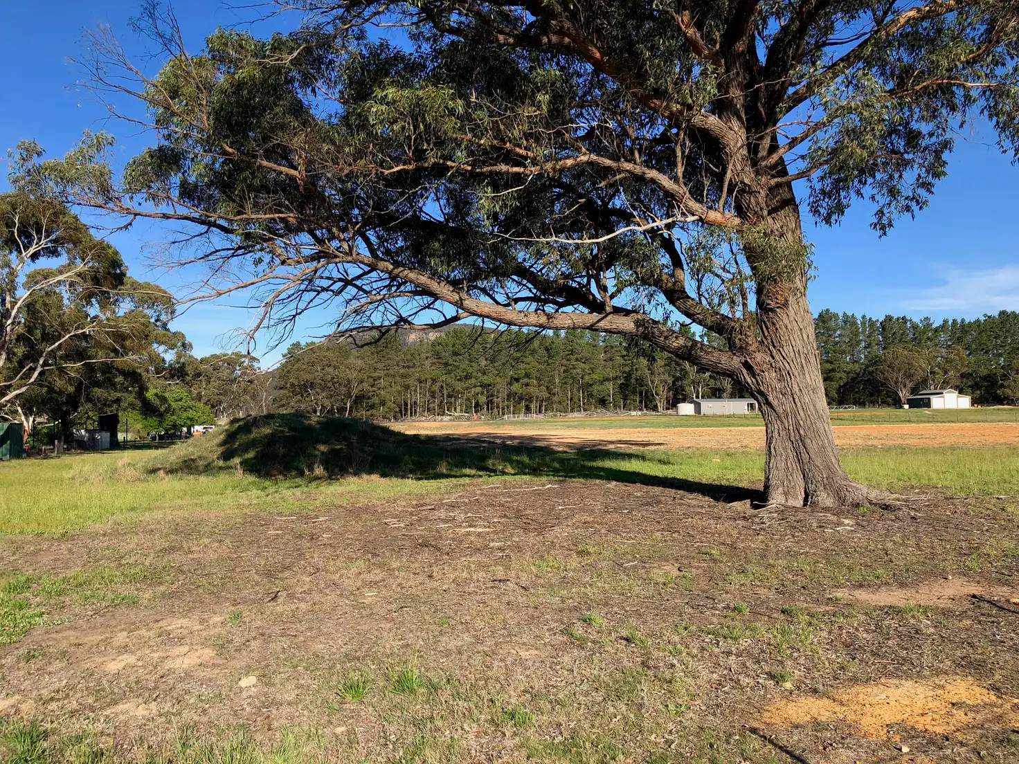 Main view of Homely land listing, 11 Bruwalin Place, Hartley NSW 2790