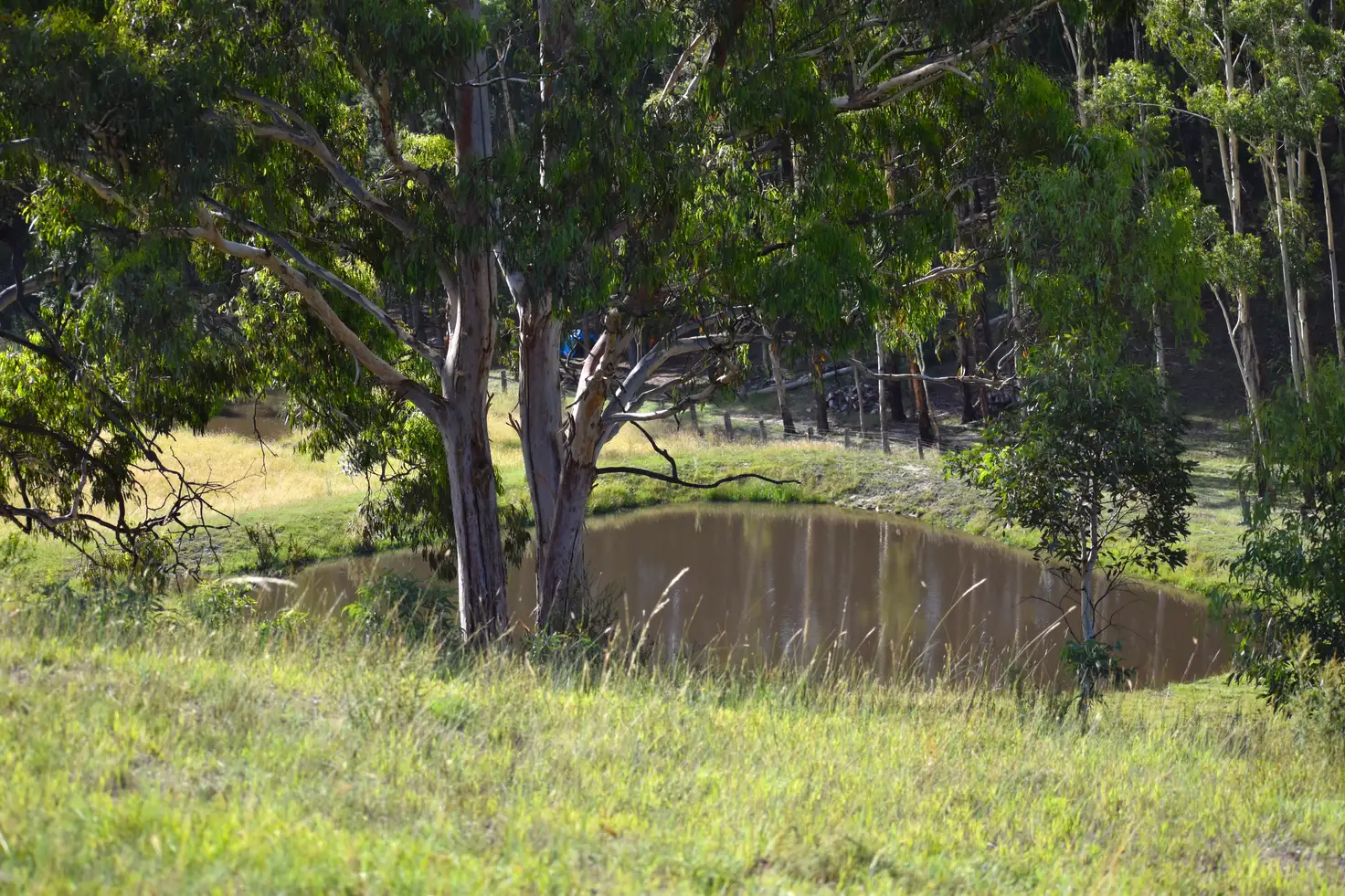 Main view of Homely rural property listing, 104/12 Parkland Close, Little Hartley NSW 2790