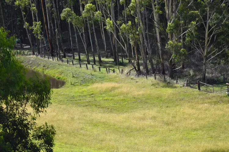 Fourth view of Homely rural property listing, 104/12 Parkland Close, Little Hartley NSW 2790