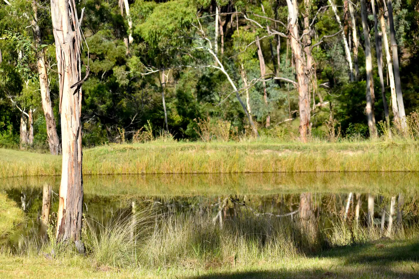 Main view of Homely land listing, 20 PARKLAND CLOSE, Little Hartley NSW 2790