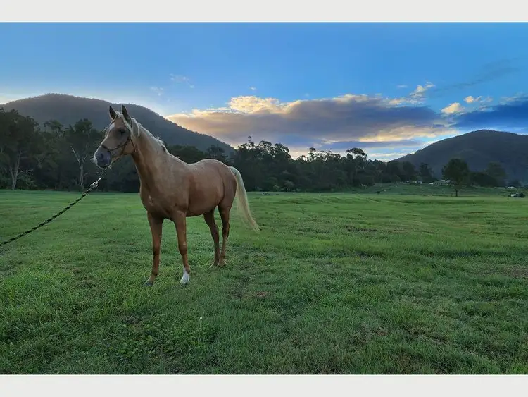 Sixth view of Homely land listing, Lot 2, 28 Ryder Road, Highvale QLD 4520