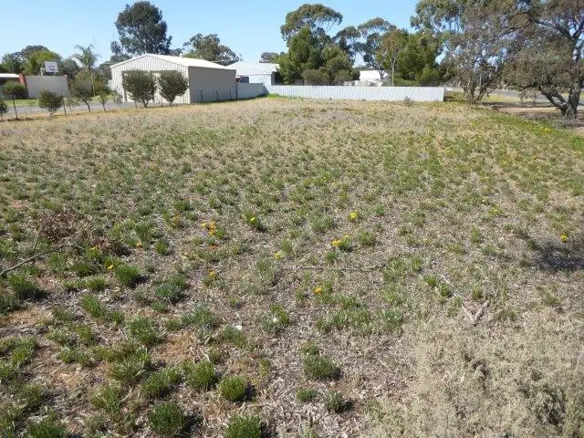 Second view of Homely land listing, 153 Anderson Street, Warracknabeal VIC 3393
