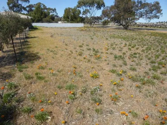 Third view of Homely land listing, 153 Anderson Street, Warracknabeal VIC 3393