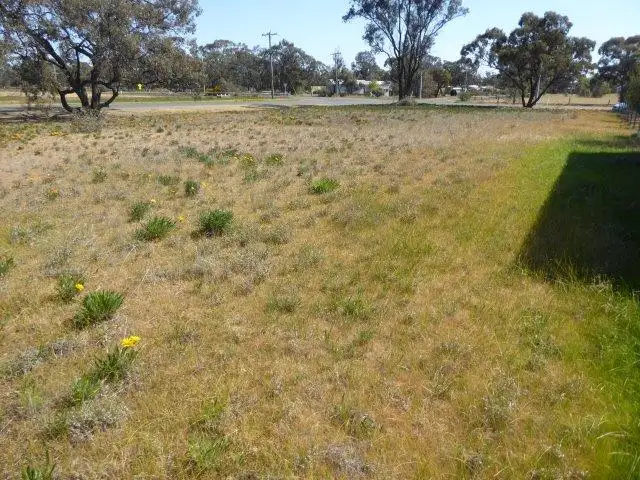 Fifth view of Homely land listing, 153 Anderson Street, Warracknabeal VIC 3393