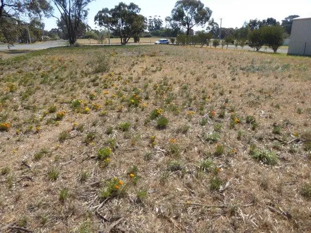 Sixth view of Homely land listing, 153 Anderson Street, Warracknabeal VIC 3393