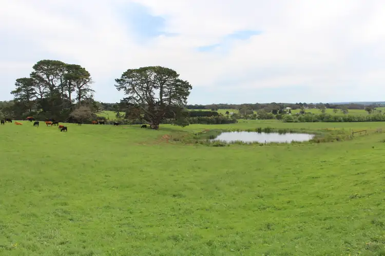 Fourth view of Homely rural property listing, 110 Rowlands Road, Barwon Downs VIC 3243