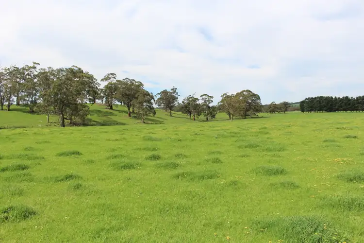 Fifth view of Homely rural property listing, 110 Rowlands Road, Barwon Downs VIC 3243