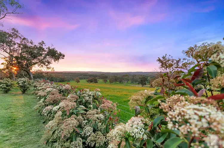 Sixth view of Homely house listing, 444 Morris Road, Prospect Hill SA 5201