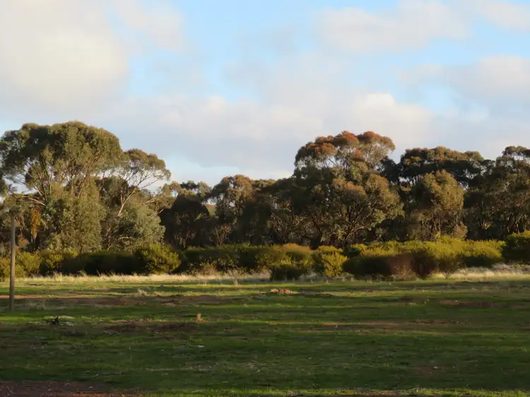 Fifth view of Homely rural property listing, 453 Nine Mile South Road, Wedderburn VIC 3518