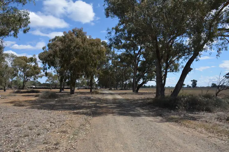Second view of Homely rural property listing, 1375 Walshs Bridge South Road, Waaia VIC 3637