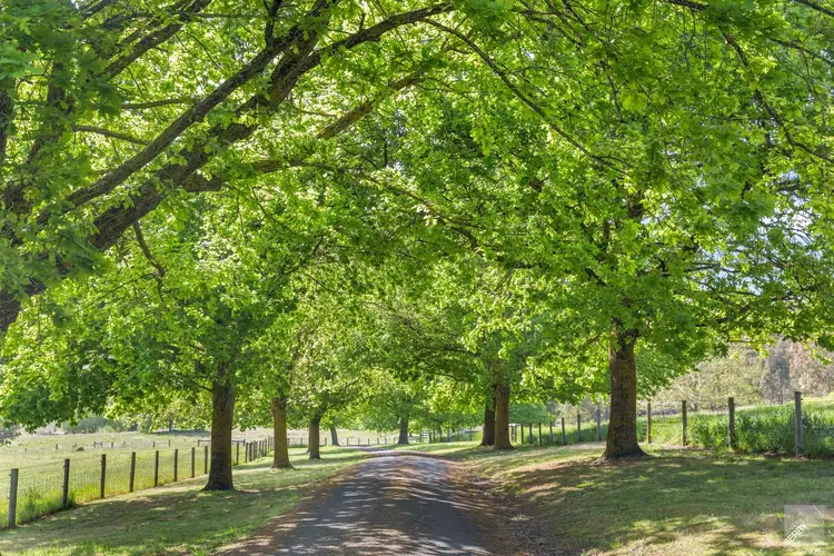 Fifth view of Homely rural property listing, 17 Martin Road, Hahndorf SA 5245